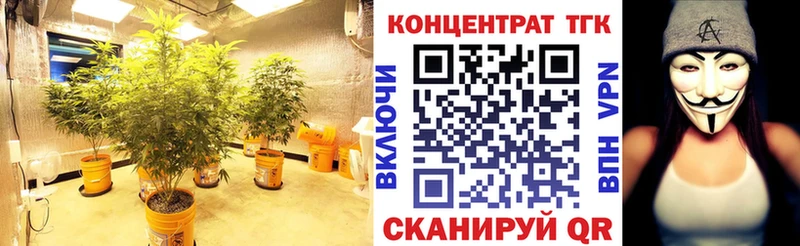 ТГК THC oil  купить наркоту  Рыльск 