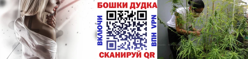 кракен ССЫЛКА  Рыльск  Канабис семена 